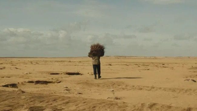 Film Tatyany Sobolevoj Protiv Vetra Pokazhut V Mahachkale Film Tatyany Sobolevoj Protiv Vetra Pokazhut V Mahachkale